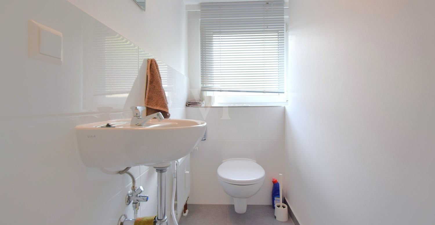 WC DG