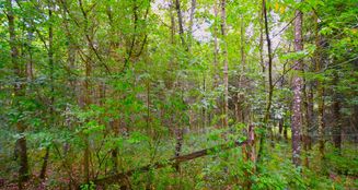 von_poll_real_estate_property_25256251_image_4