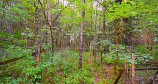 von_poll_real_estate_property_25256251_image_3