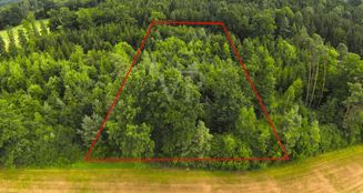 von_poll_real_estate_property_25256251_image_0