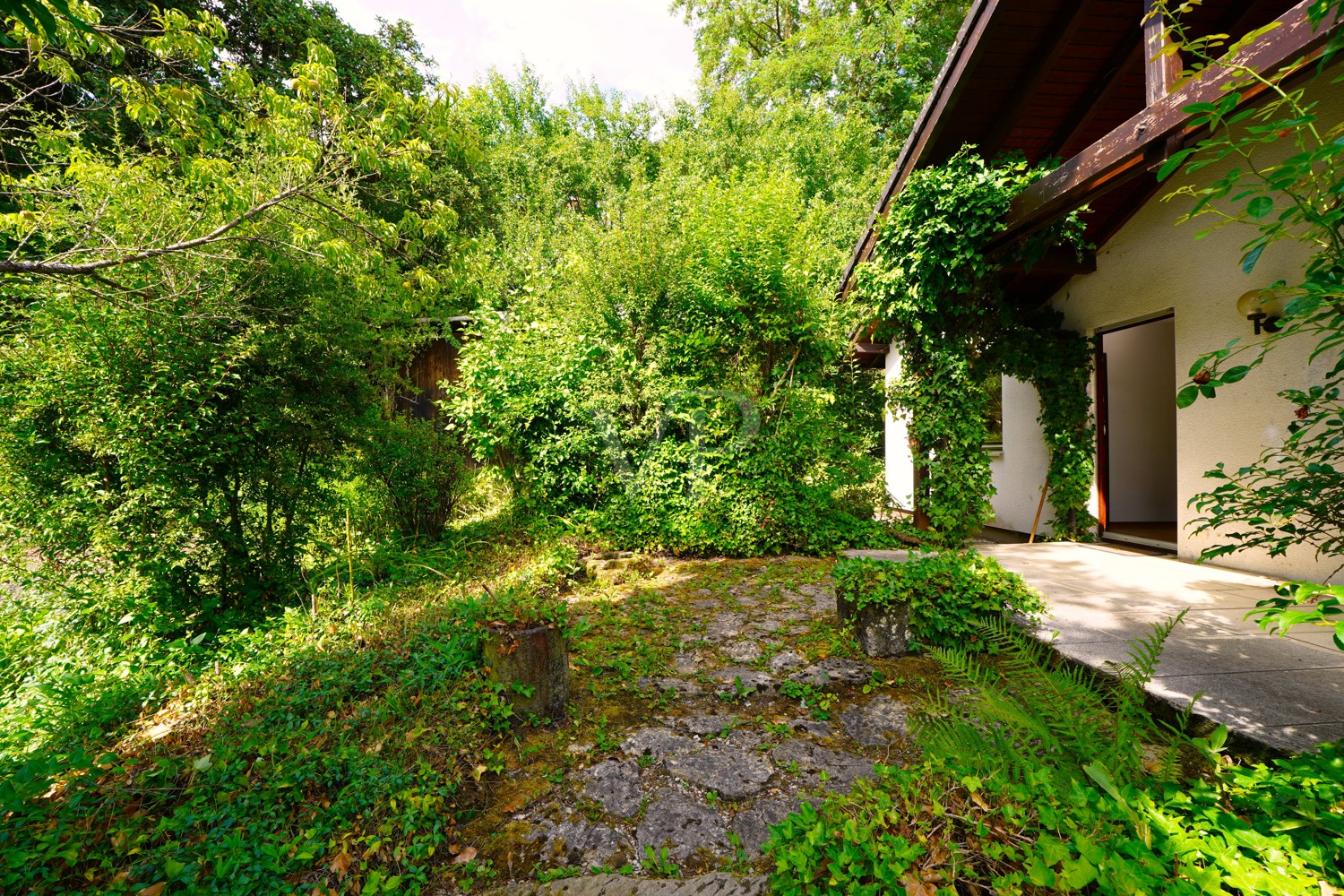 Garten / Terrasse