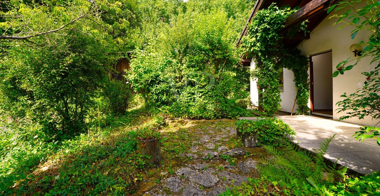 Garten / Terrasse