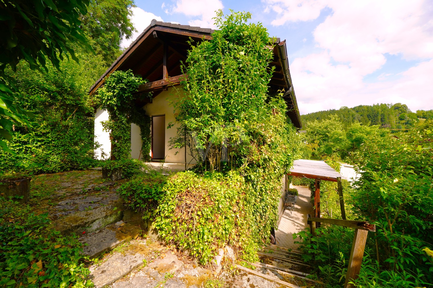 Garten / Terrasse