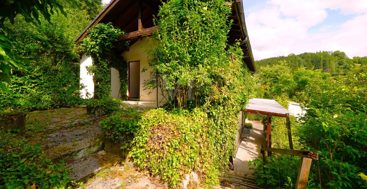 Garten / Terrasse