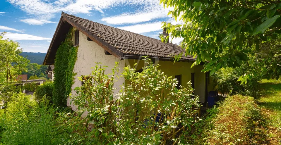 Außenansicht Garten