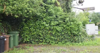 von_poll_real_estate_property_25256246_image_26