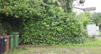 von_poll_real_estate_property_25256246_image_27