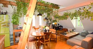 von_poll_real_estate_property_25256248_image_19