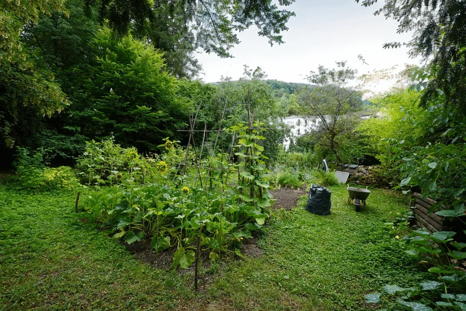 Garten / Außenbereich