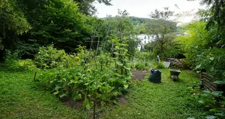 von_poll_real_estate_property_25256248_image_26