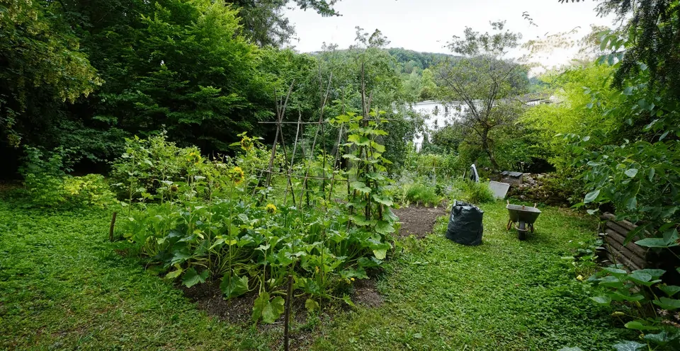 Garten / Außenbereich