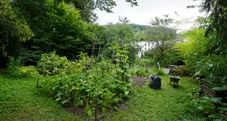 von_poll_real_estate_property_25256248_image_26