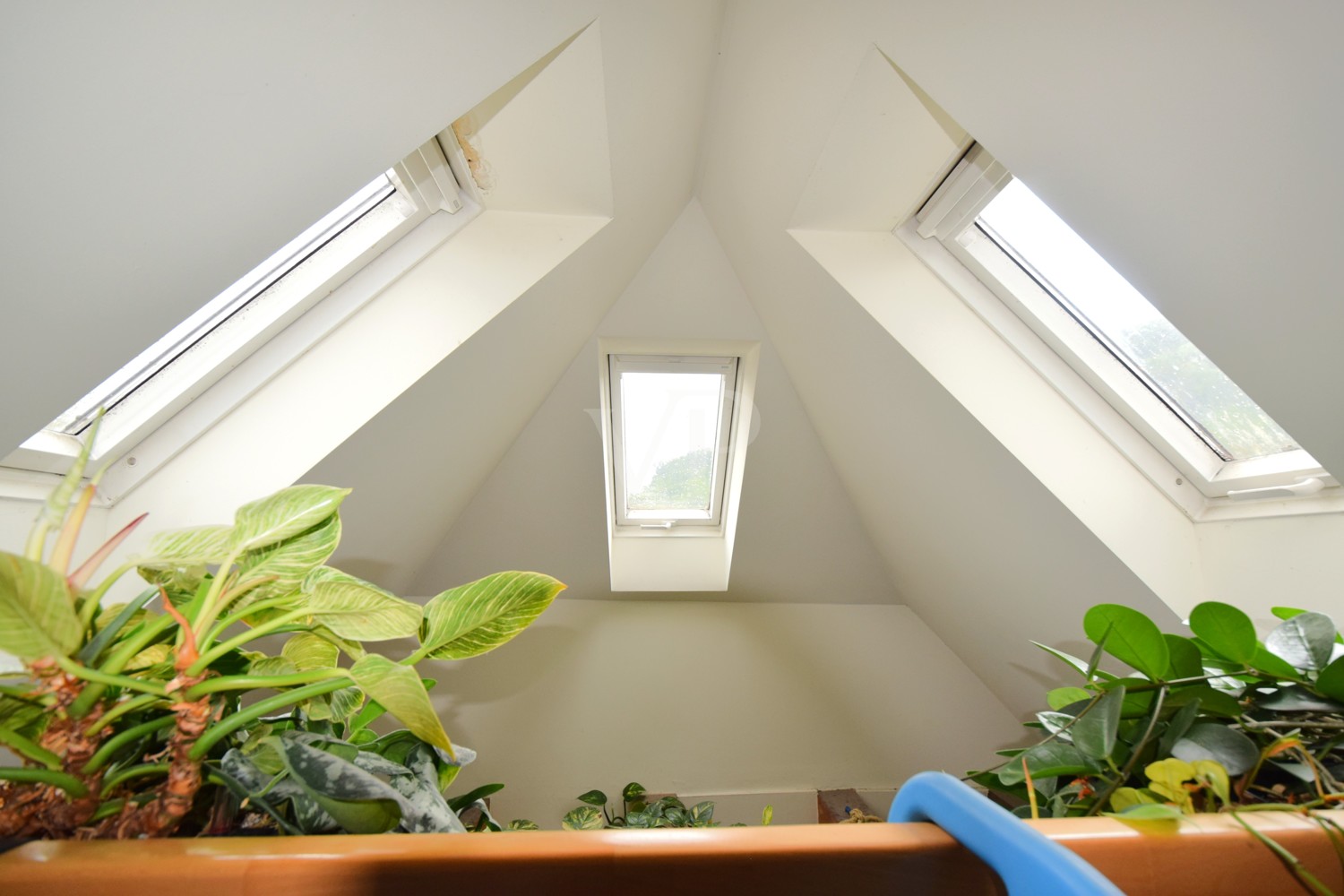 Wohnung DG