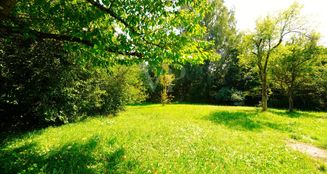 von_poll_real_estate_property_25256252_image_31
