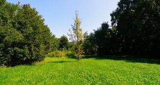 von_poll_real_estate_property_25256252_image_30