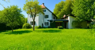 von_poll_real_estate_property_25256252_image_1