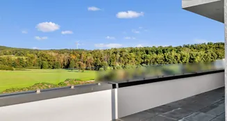 von_poll_real_estate_property_25256255_image_31