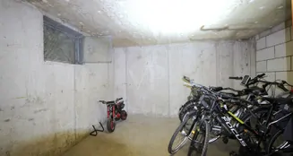 von_poll_real_estate_property_25256256_image_12