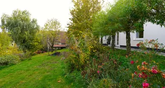 von_poll_real_estate_property_25256262_image_33