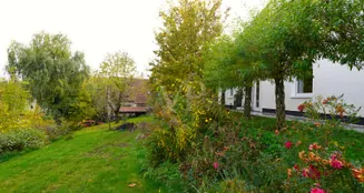 von_poll_real_estate_property_25256262_image_32