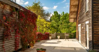 von_poll_real_estate_property_25256257_image_3