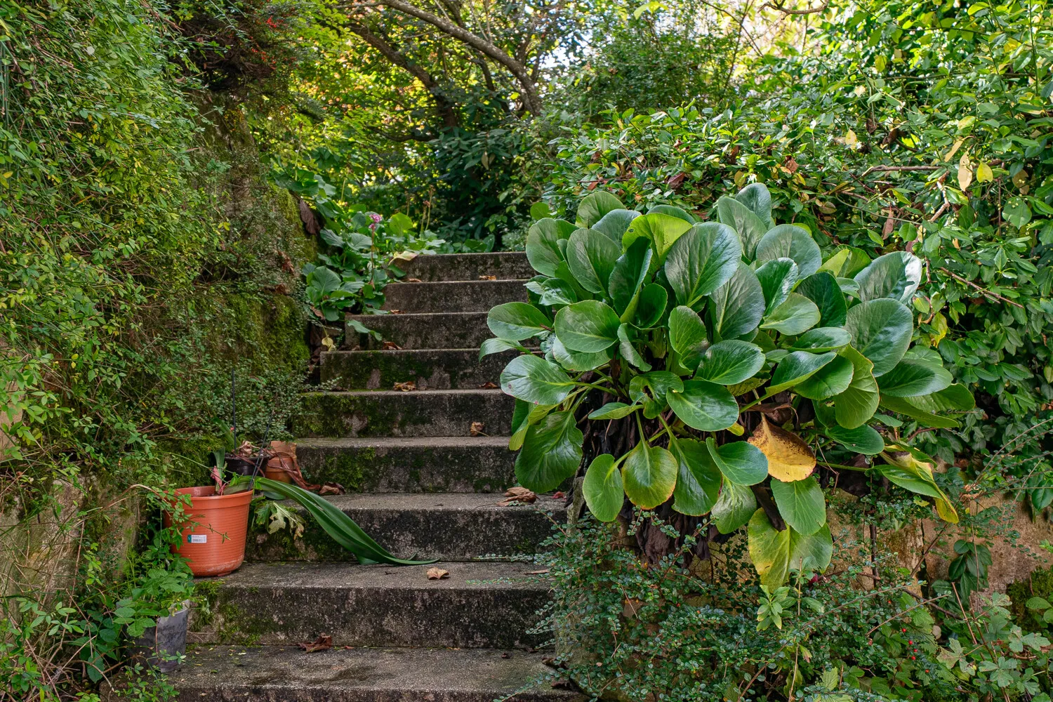 Zeitlose Eleganz! Ein Wohntraum umgeben von Natur mit großzügigem Flächenangebot, Pool und Sauna