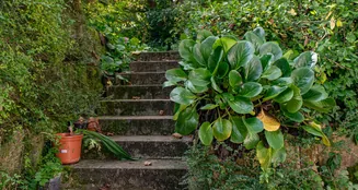 von_poll_real_estate_property_25256257_image_23