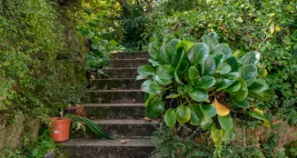 von_poll_real_estate_property_25256257_image_26