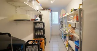 von_poll_real_estate_property_25256269_image_12