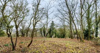 von_poll_real_estate_property_26256272_image_28