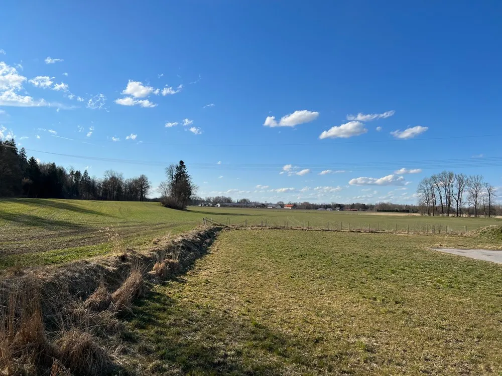 Ausblick nach Westen