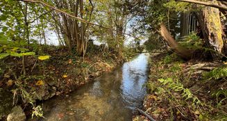 von_poll_real_estate_property_24338026_image_29