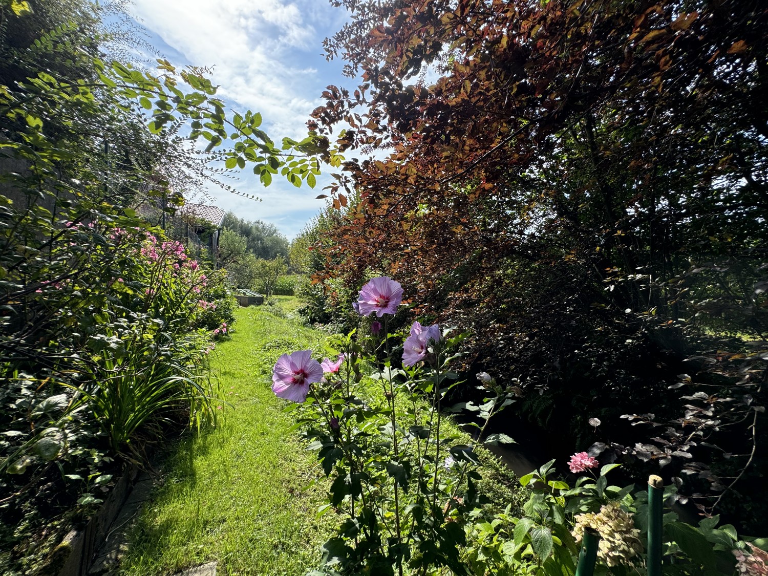 Gartengrundstück am Bach