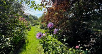 von_poll_real_estate_property_24338026_image_14