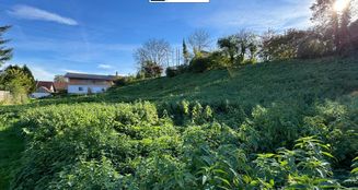 von_poll_real_estate_property_24338031-01_image_0