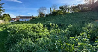 von_poll_real_estate_property_24338031-03_image_7