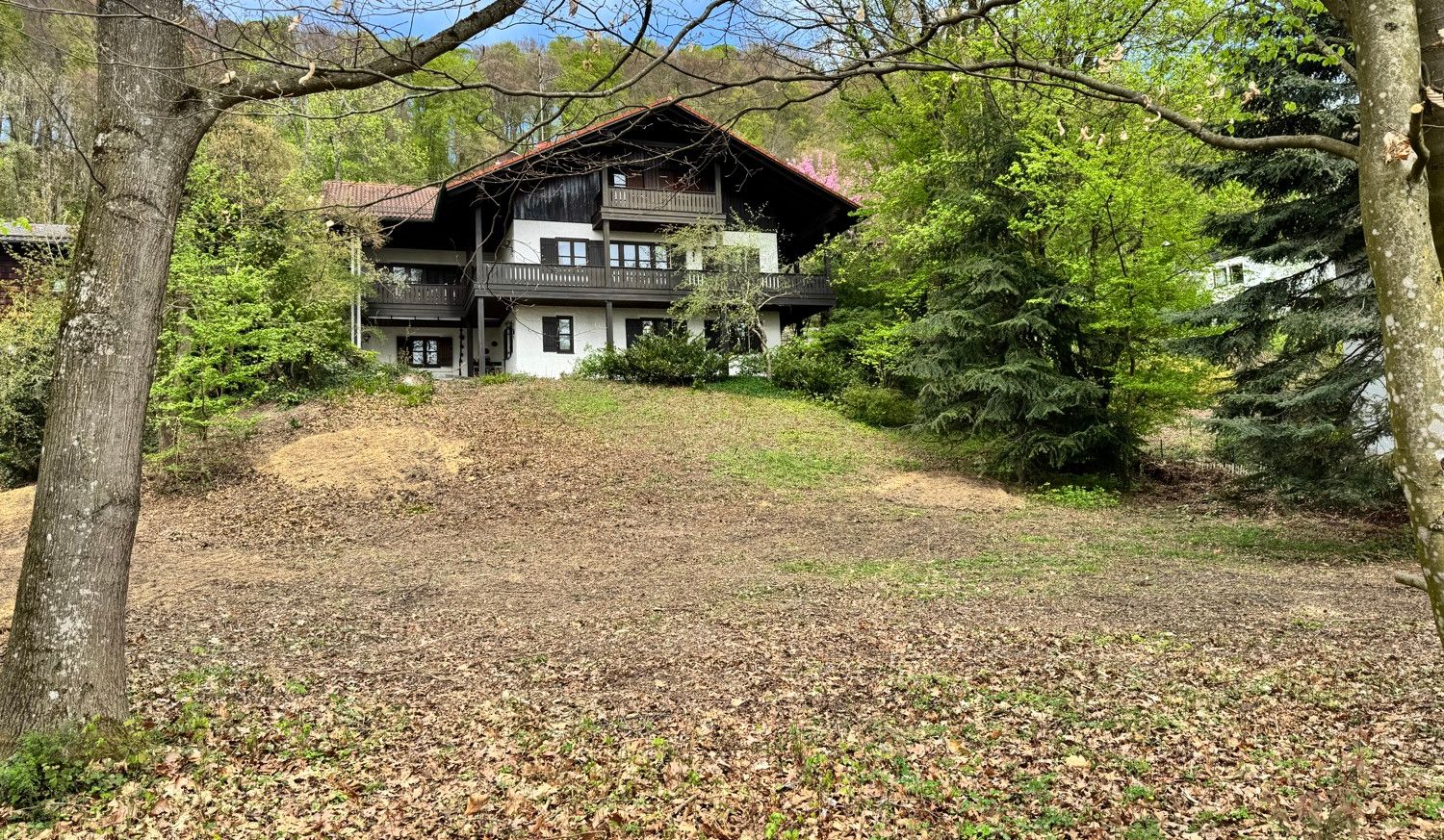 Grüne Umgebung