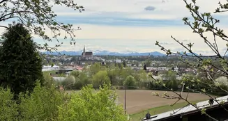 von_poll_real_estate_property_25338002_image_4