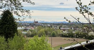 von_poll_real_estate_property_25338002_image_5
