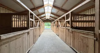 von_poll_real_estate_property_25338021_image_26