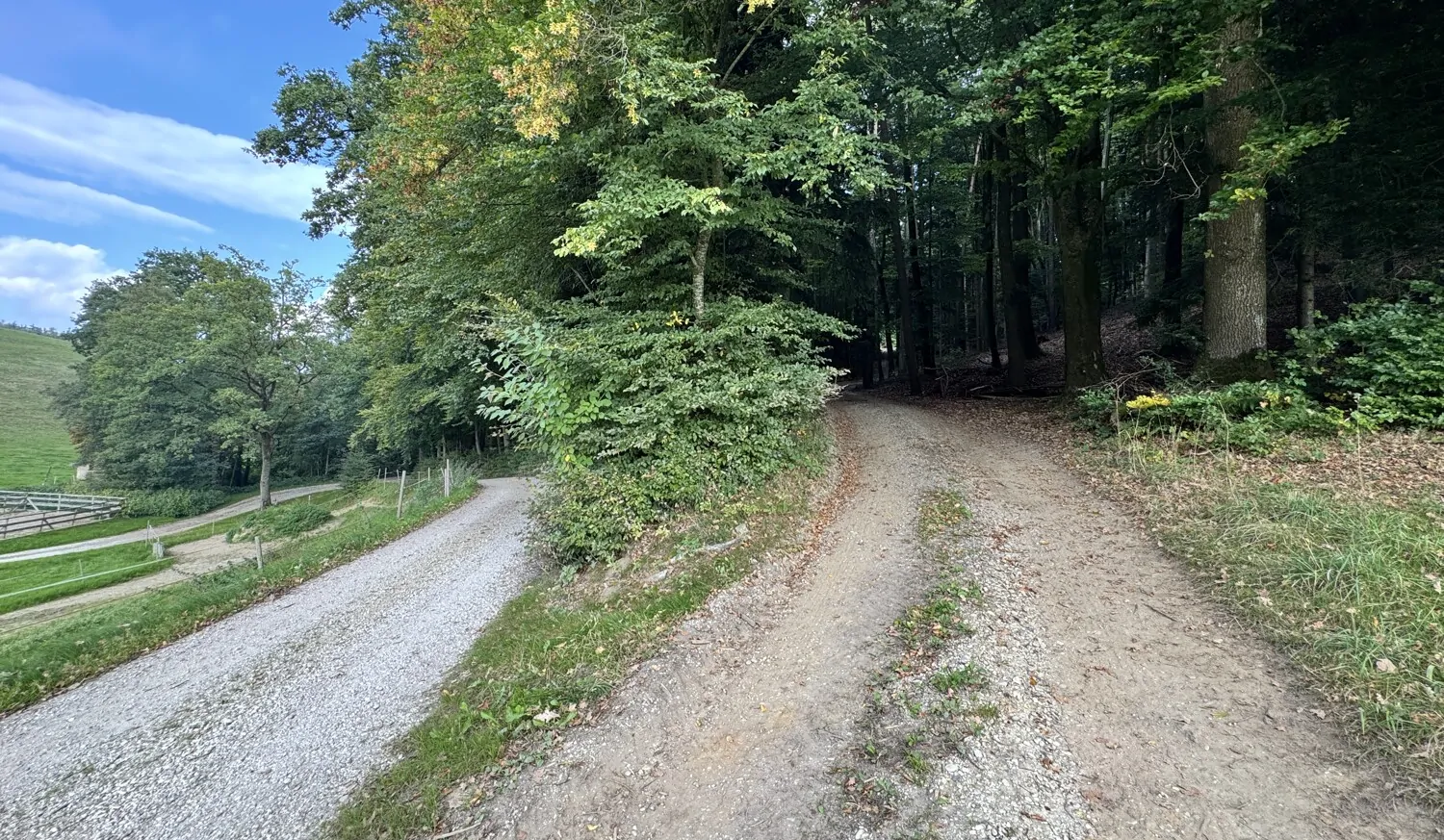 Perfekt zum Ausreiten