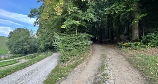 von_poll_real_estate_property_25338021_image_31