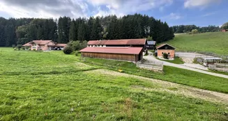 von_poll_real_estate_property_25338021_image_24