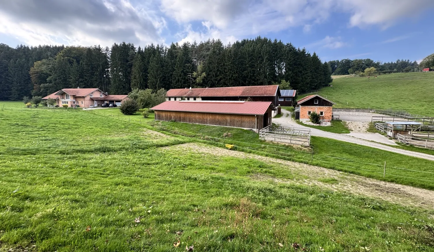 Koppel, Stall & Reitplatz