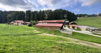 von_poll_real_estate_property_25338021_image_24