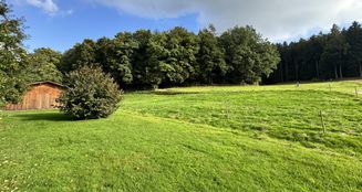 von_poll_real_estate_property_25338021_image_23