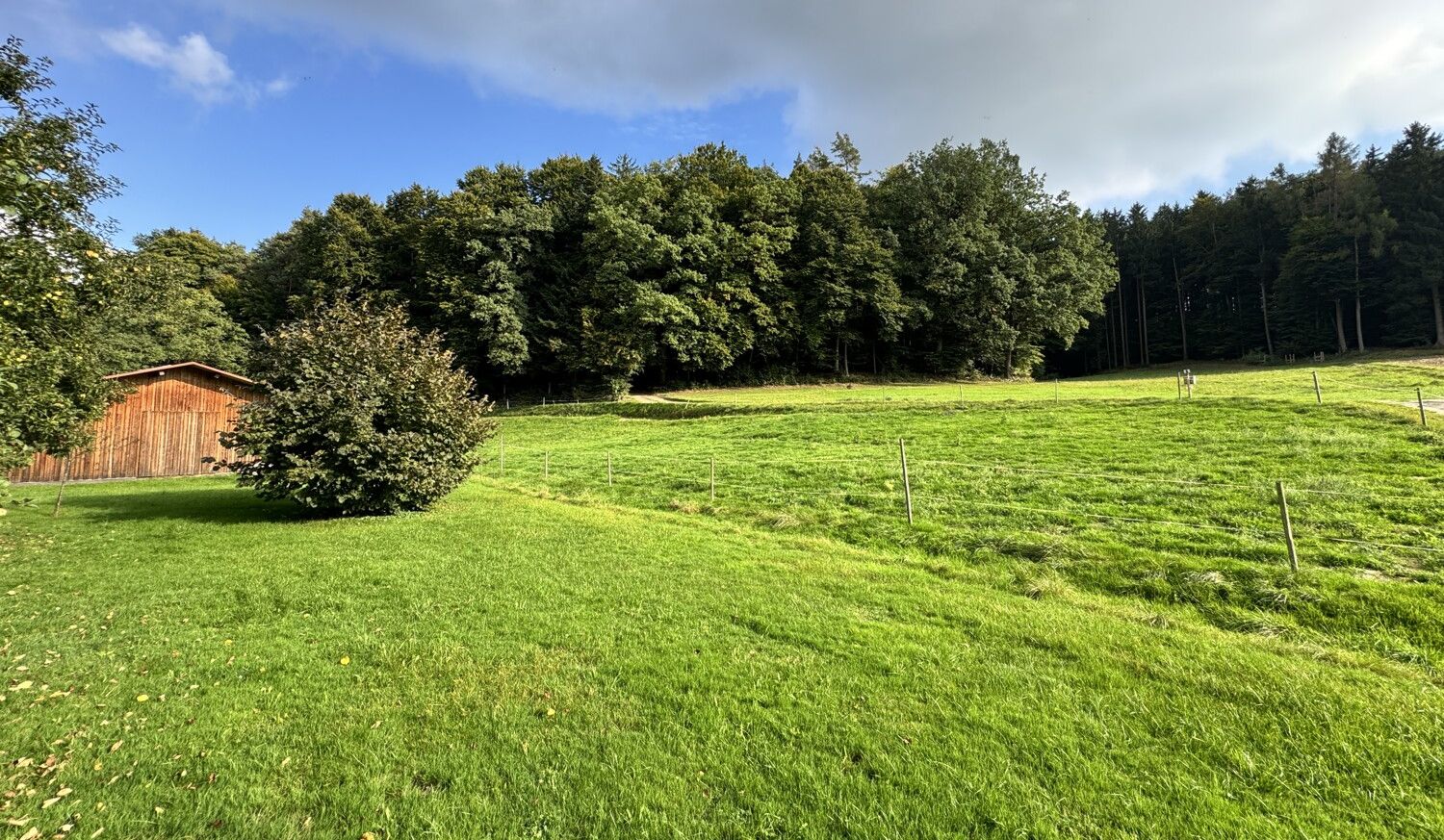 Wiesen & Weiden