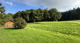 von_poll_real_estate_property_25338021_image_23