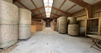 von_poll_real_estate_property_25338021_image_25