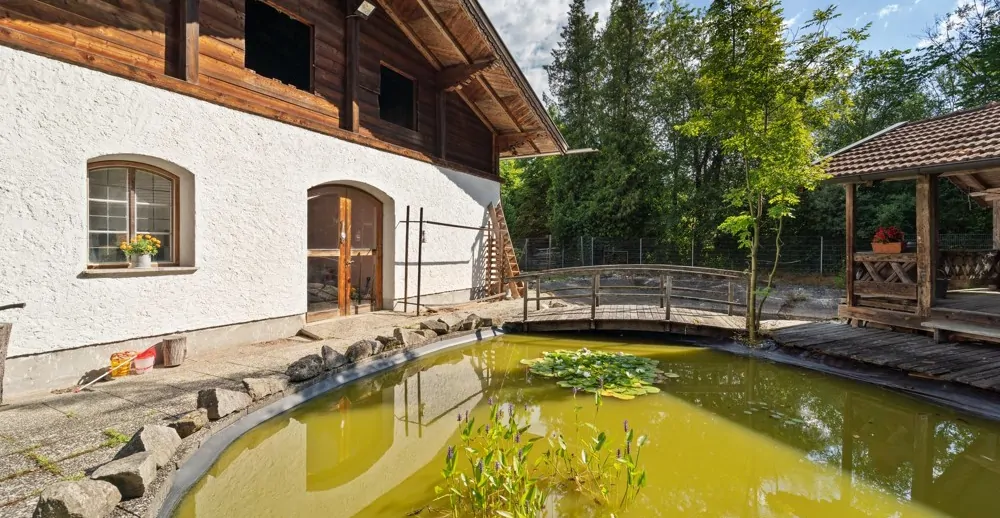 Die Rückseite am Nebengebäude mit Teich